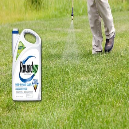 Mollit deserunt dolo